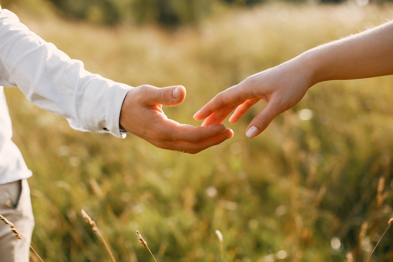 Pragnant woman. Family in a field. Man in a white shirt